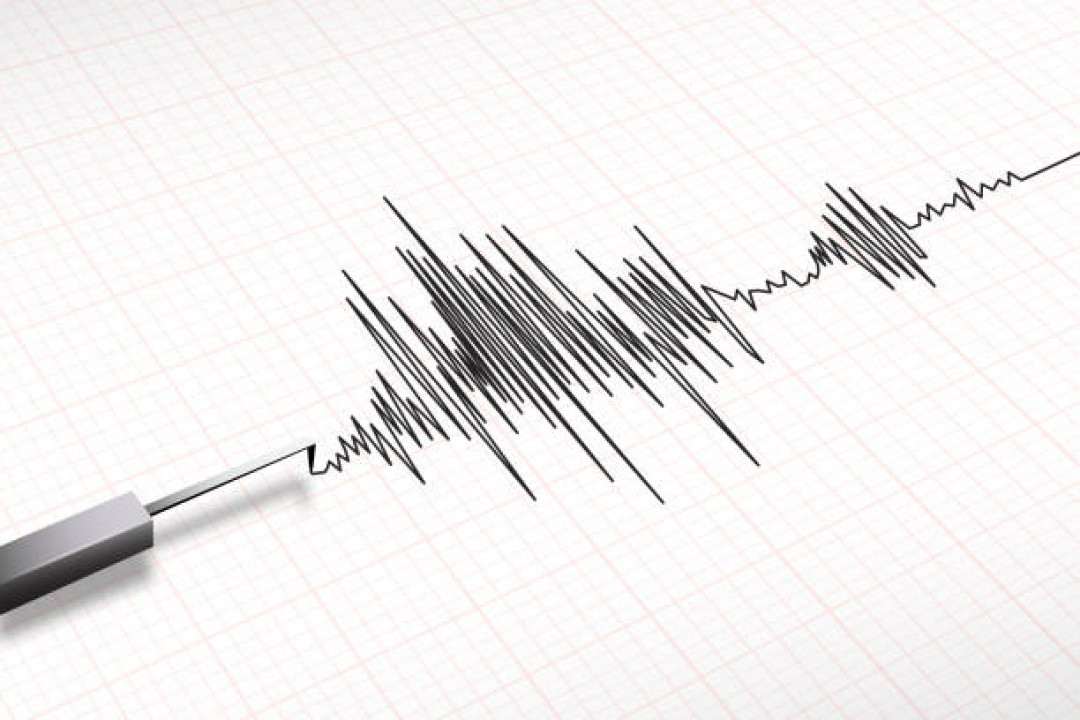 Earthquake was Registered Near Kardzhali